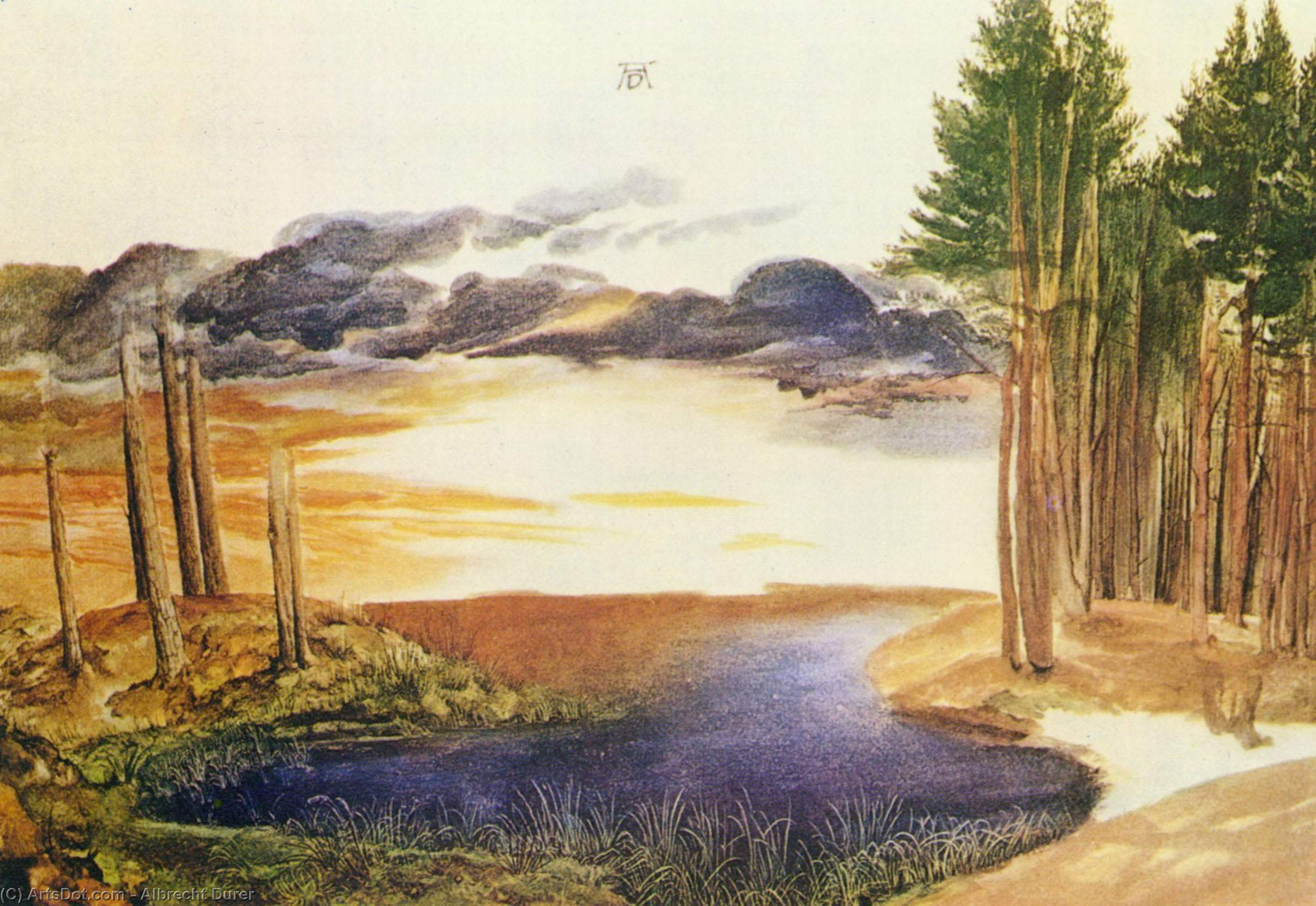 WikiOO.org - Güzel Sanatlar Ansiklopedisi - Resim, Resimler Albrecht Durer - Pond in the wood