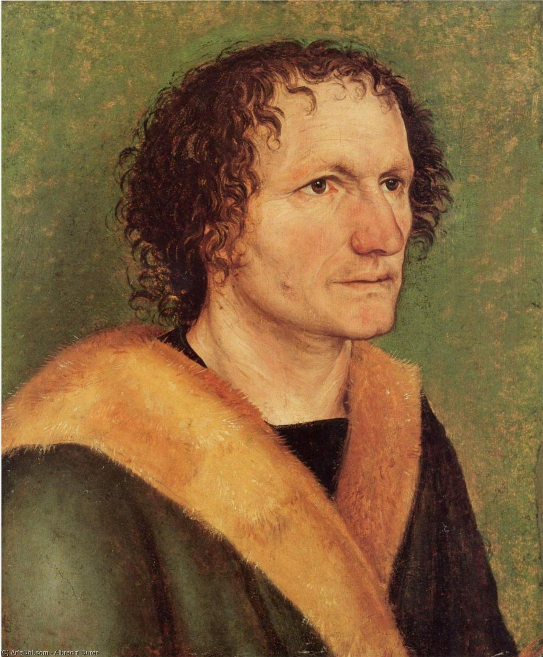 Wikioo.org - The Encyclopedia of Fine Arts - Painting, Artwork by Albrecht Durer - Male portrait before green base