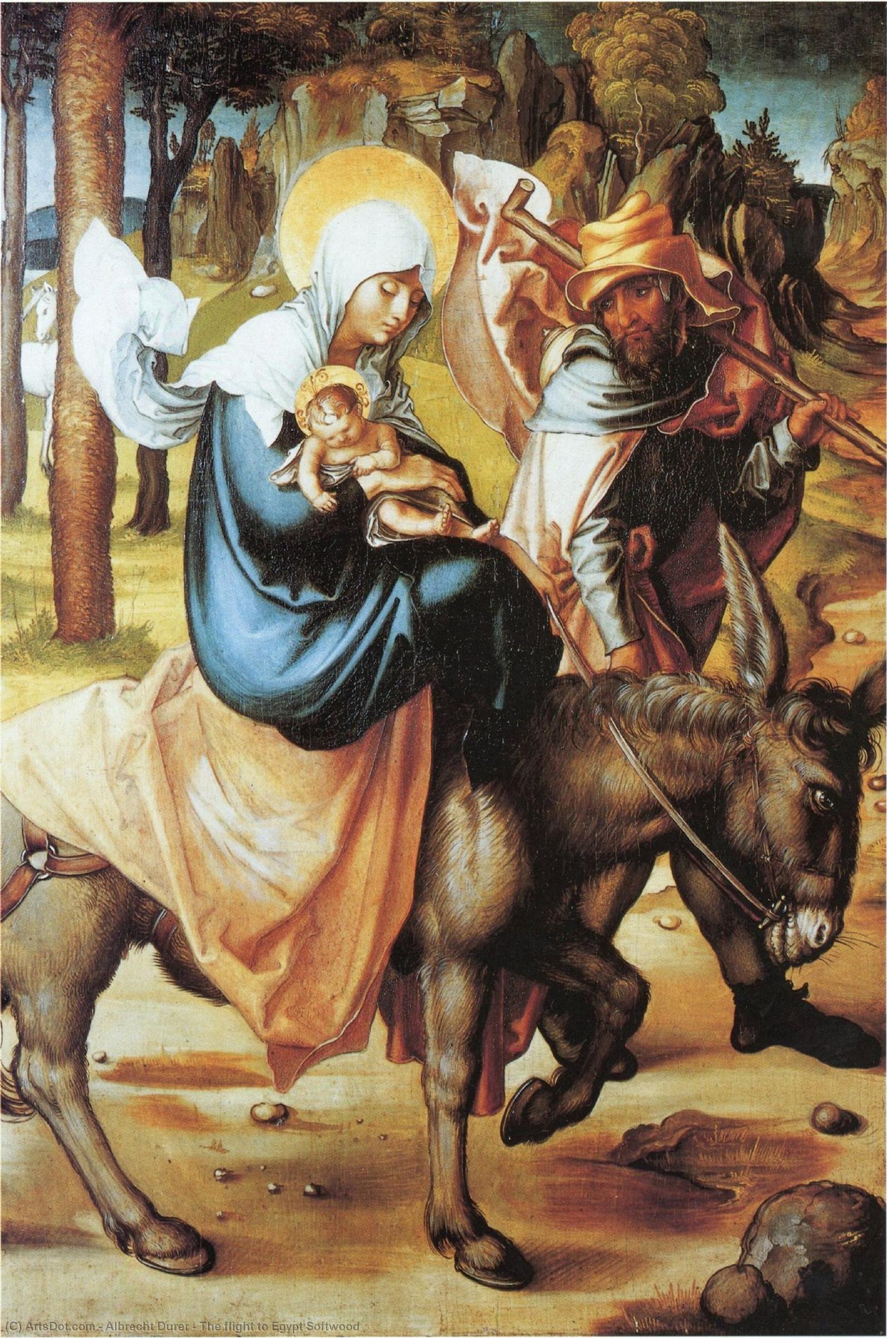 Wikioo.org - The Encyclopedia of Fine Arts - Painting, Artwork by Albrecht Durer - The flight to Egypt Softwood
