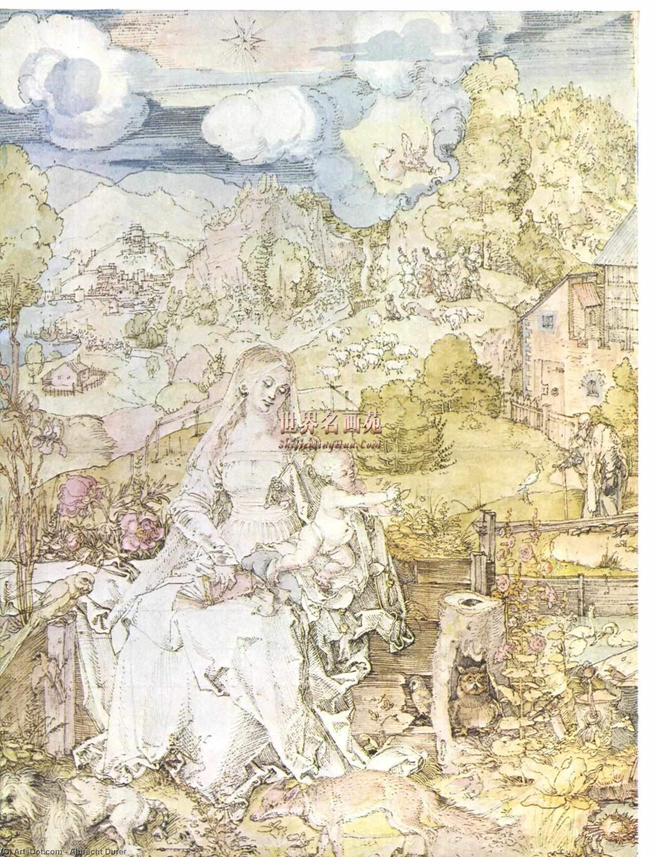 Wikioo.org – L'Enciclopedia delle Belle Arti - Pittura, Opere di Albrecht Durer - Madonna con lestensione molti animali