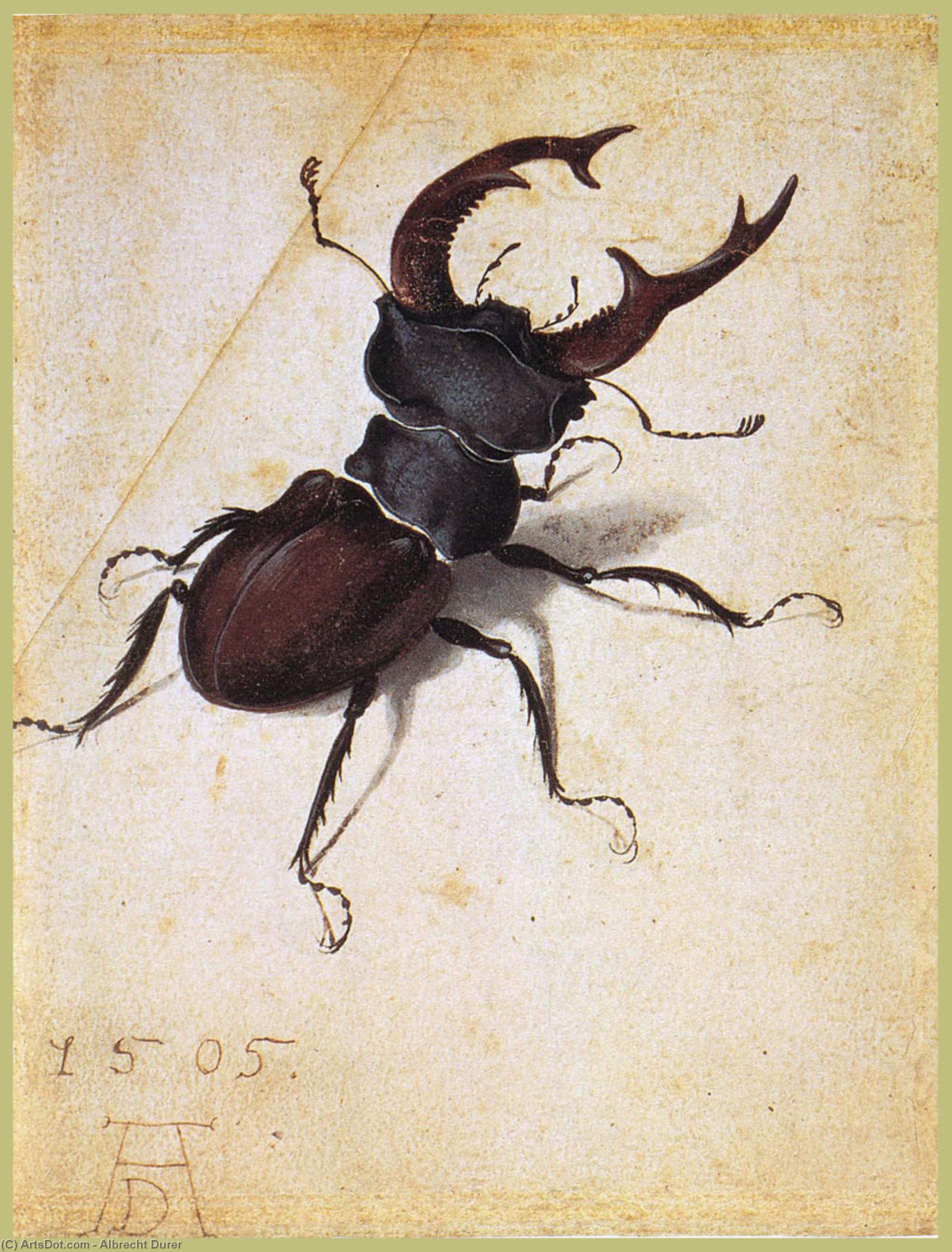 WikiOO.org – 美術百科全書 - 繪畫，作品 Albrecht Durer - 鹿lucanus