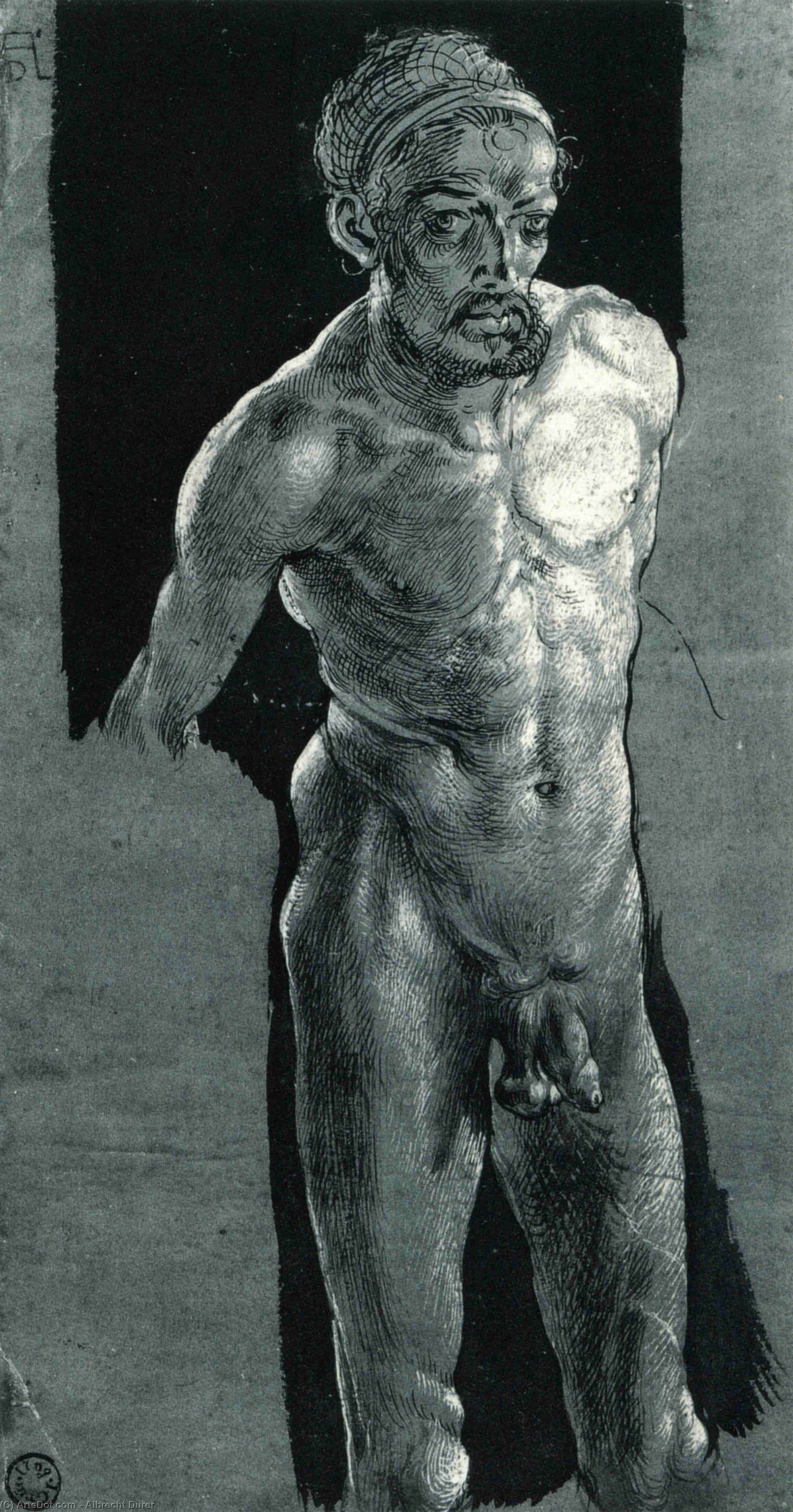 Wikioo.org – La Enciclopedia de las Bellas Artes - Pintura, Obras de arte de Albrecht Durer - Desnuda Sel-portrait
