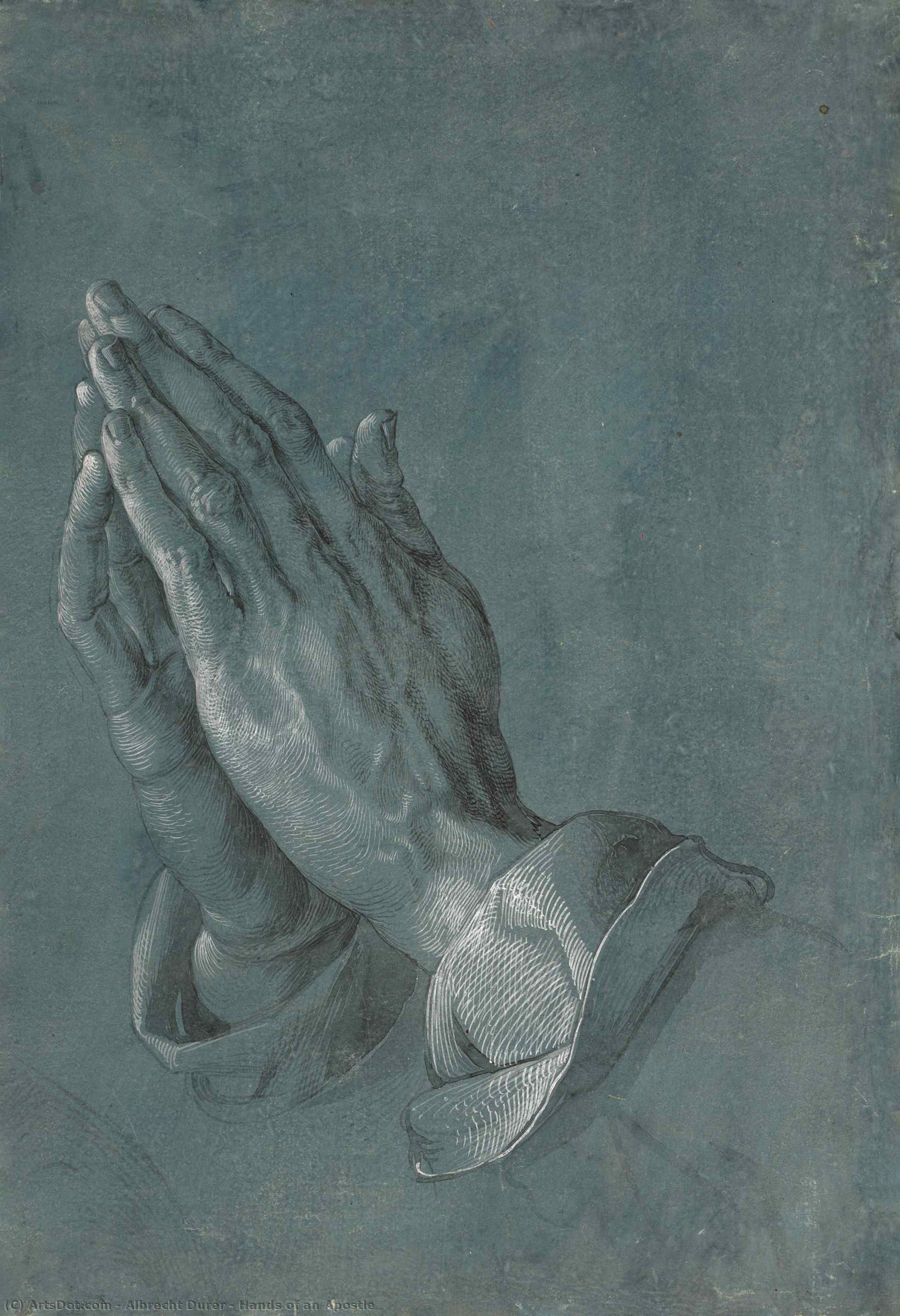 WikiOO.org - Enciklopedija dailės - Tapyba, meno kuriniai Albrecht Durer - Hands of an Apostle