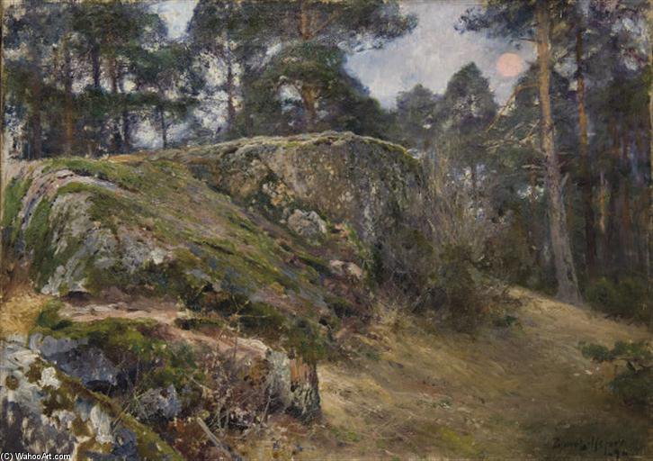 Wikioo.org - The Encyclopedia of Fine Arts - Painting, Artwork by Bruno Andreas Liljefors - Rocher Dans Une Foret