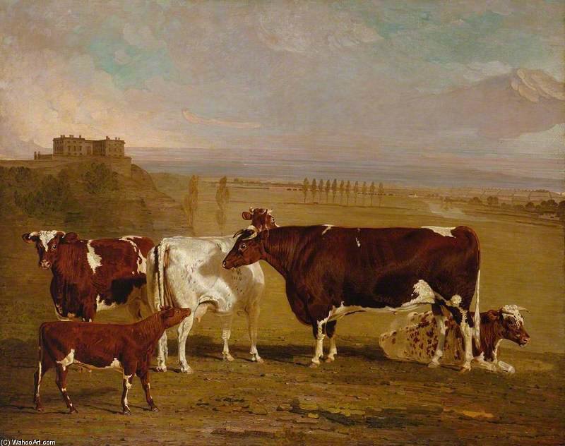 Wikioo.org - The Encyclopedia of Fine Arts - Painting, Artwork by Benjamin Marshall - Portraits Of Cattle Of The Improved Short-horned Breed, The Property Of J. Wilkinson Esq. Of Lenton, Near Nottingham