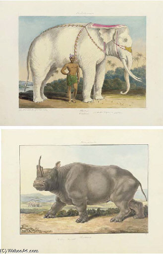 WikiOO.org - Encyclopedia of Fine Arts - Maalaus, taideteos Charles Hamilton Smith - Elephants Rhinoceroses