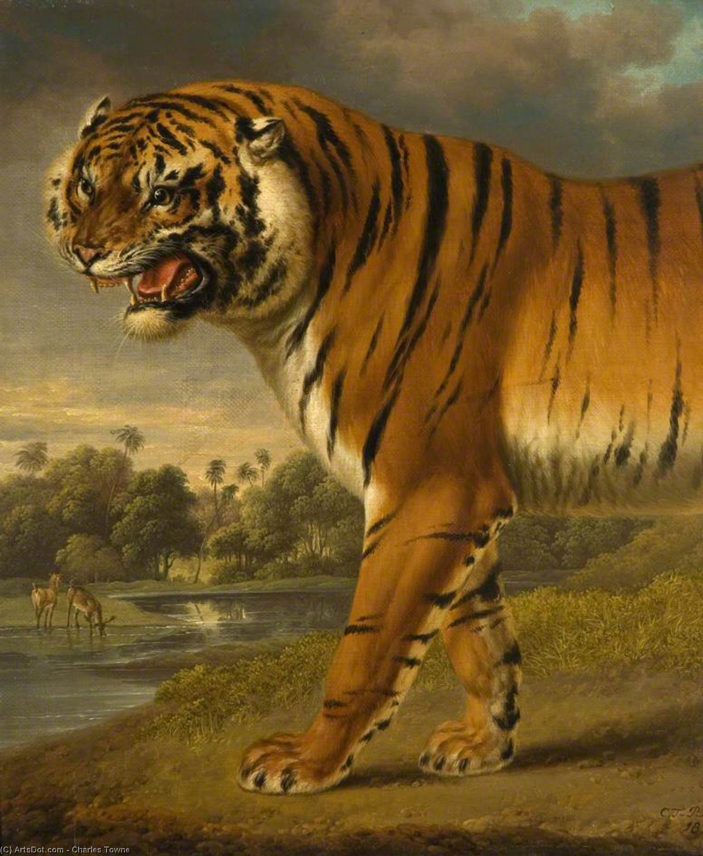 WikiOO.org - Encyclopedia of Fine Arts - Maleri, Artwork Charles Towne - A Tiger