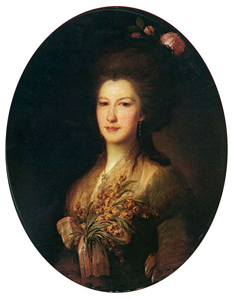 Wikioo.org - The Encyclopedia of Fine Arts - Painting, Artwork by Fyodor Stepanovich Rokotov - Portrait Of Countess Elizaveta Santi