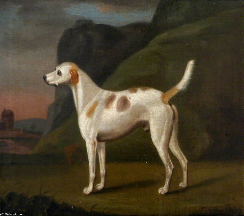 Wikioo.org - The Encyclopedia of Fine Arts - Painting, Artwork by Francis Sartorius Ii (John Francis Sartorius) - White Hound With Brown Spots