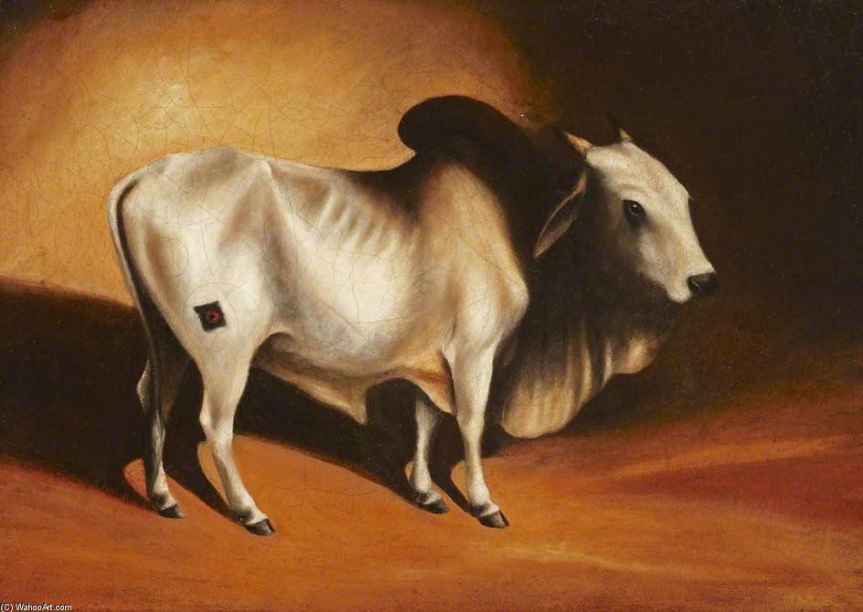 WikiOO.org - Encyclopedia of Fine Arts - Maalaus, taideteos George Chinnery - A Brahminy Bull