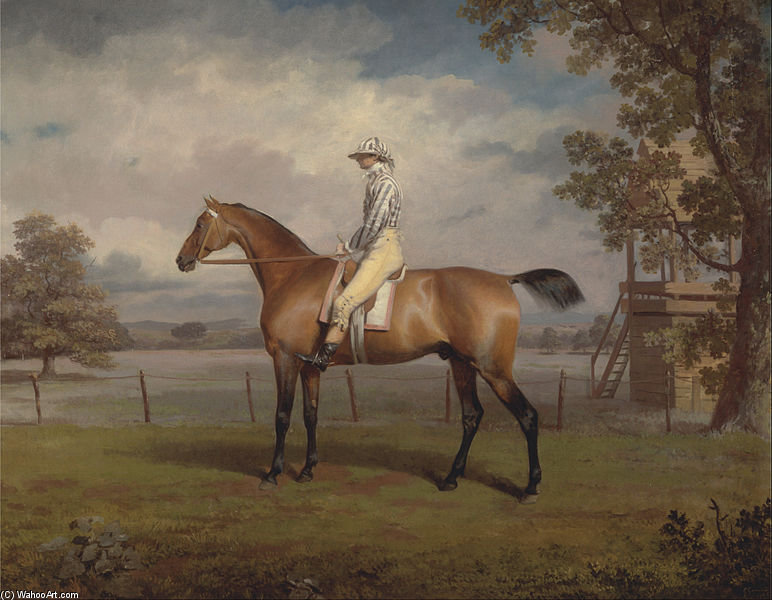 Wikioo.org - The Encyclopedia of Fine Arts - Painting, Artwork by George Garrard - Portrait Of A Racehorse, Possibly Disguise, The Property Of The Duke Of Hamilton, With Jockey Up