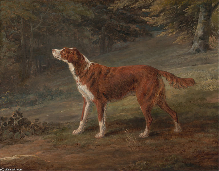 Wikioo.org - The Encyclopedia of Fine Arts - Painting, Artwork by George Garrard - Ranger, A Setter, The Property Of Elizabeth Gray