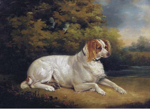 Wikioo.org - The Encyclopedia of Fine Arts - Painting, Artwork by Henry Bernard Chalon - Reclining Brittany Spaniel