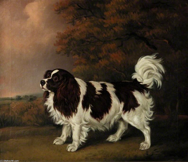 Wikioo.org - The Encyclopedia of Fine Arts - Painting, Artwork by Henry Bernard Chalon - Study Of A King Charles Spaniel