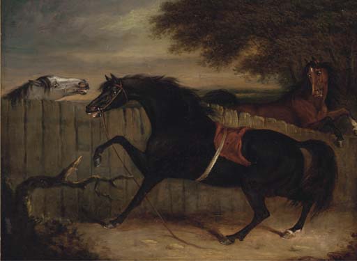 Wikioo.org - The Encyclopedia of Fine Arts - Painting, Artwork by Henry Bernard Chalon - The Stallion Smolensko With A Grey Mare And Another Horse By A Fence