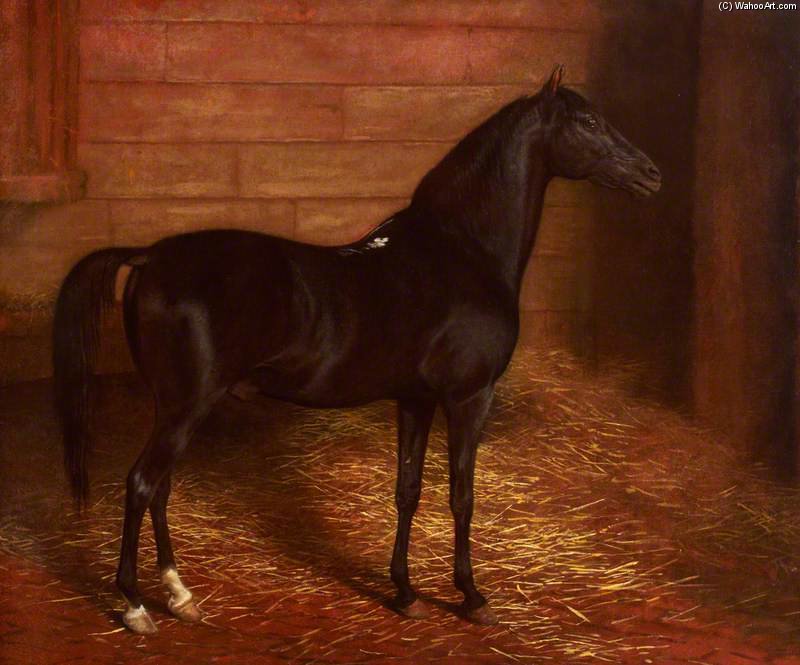 Wikioo.org - The Encyclopedia of Fine Arts - Painting, Artwork by Jacques Laurent Agasse - Arab Horse, The Second Sire