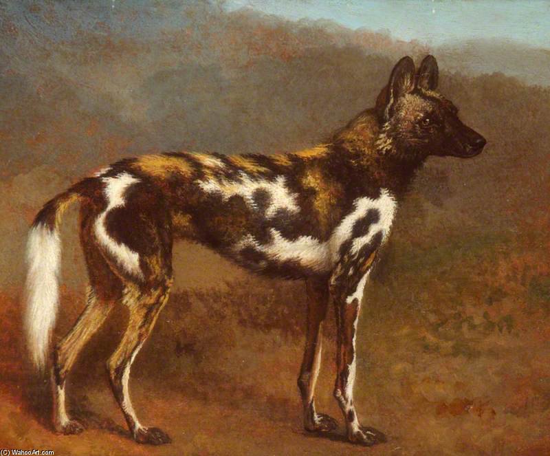 Wikioo.org - The Encyclopedia of Fine Arts - Painting, Artwork by Jacques Laurent Agasse - Cape Hunting Dog