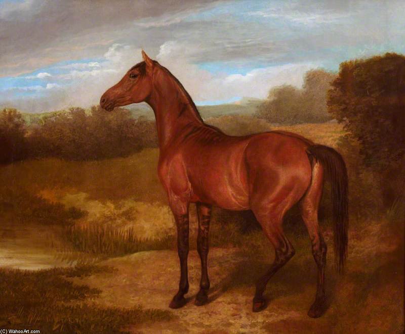 Wikioo.org – L'Encyclopédie des Beaux Arts - Peinture, Oeuvre de Jacques Laurent Agasse - Colt De Mare Et Cheval arabe -