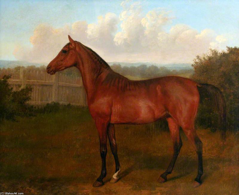 Wikioo.org - Bách khoa toàn thư về mỹ thuật - Vẽ tranh, Tác phẩm nghệ thuật Jacques Laurent Agasse - Colt Of Mare And Arab Horse