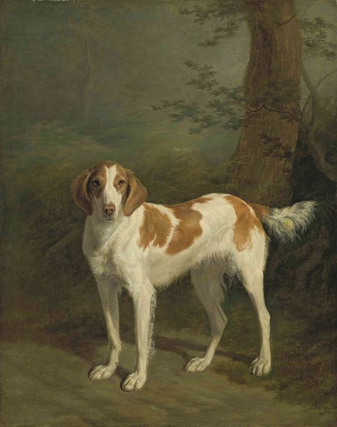 Wikioo.org - The Encyclopedia of Fine Arts - Painting, Artwork by Jacques Laurent Agasse - Dash, A Setter In A Wooded Landscape