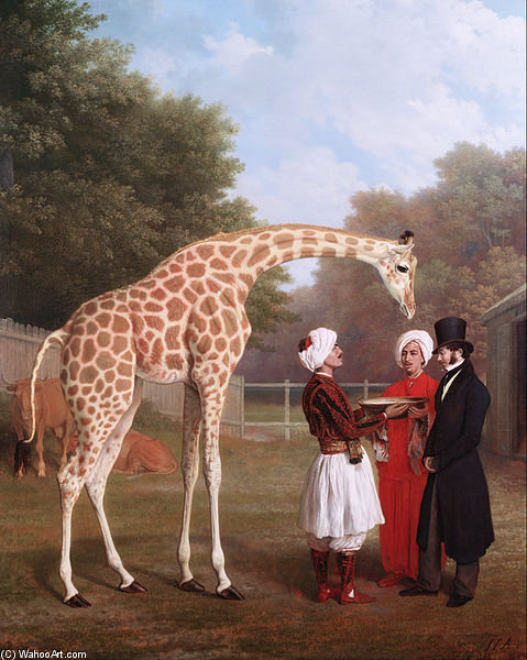 Wikoo.org - موسوعة الفنون الجميلة - اللوحة، العمل الفني Jacques Laurent Agasse - Nubian Giraffe
