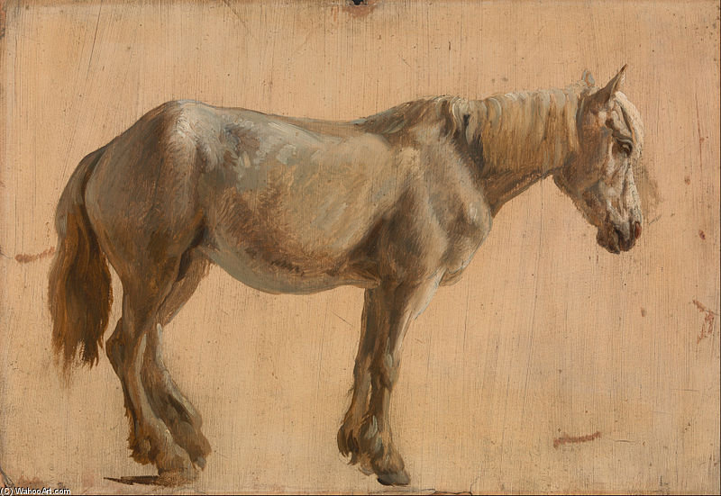Wikioo.org – L'Encyclopédie des Beaux Arts - Peinture, Oeuvre de Jacques Laurent Agasse - étude dun gris  cheval