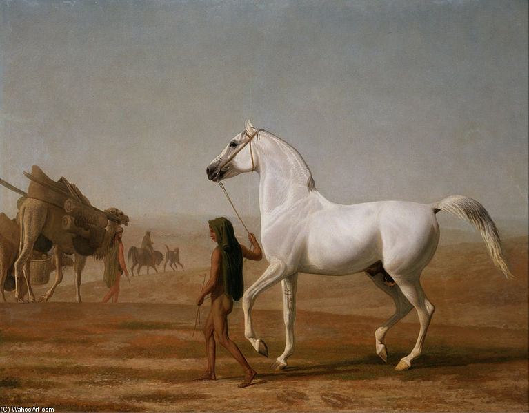 WikiOO.org - دایره المعارف هنرهای زیبا - نقاشی، آثار هنری Jacques Laurent Agasse - The Wellesley Grey Arabian Led Through The Desert