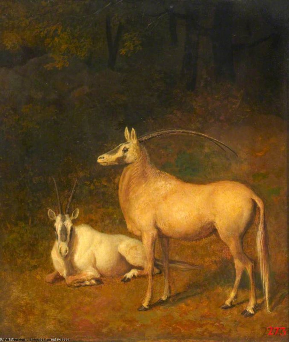WikiOO.org - Εγκυκλοπαίδεια Καλών Τεχνών - Ζωγραφική, έργα τέχνης Jacques Laurent Agasse - Two White Antelopes