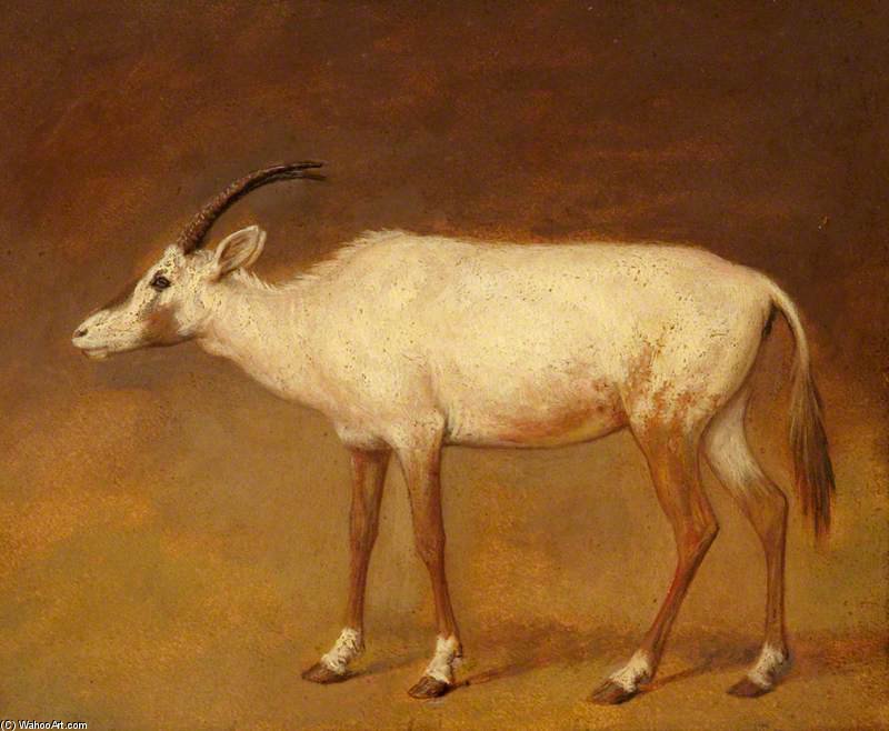 Wikioo.org - Bách khoa toàn thư về mỹ thuật - Vẽ tranh, Tác phẩm nghệ thuật Jacques Laurent Agasse - White Antelope