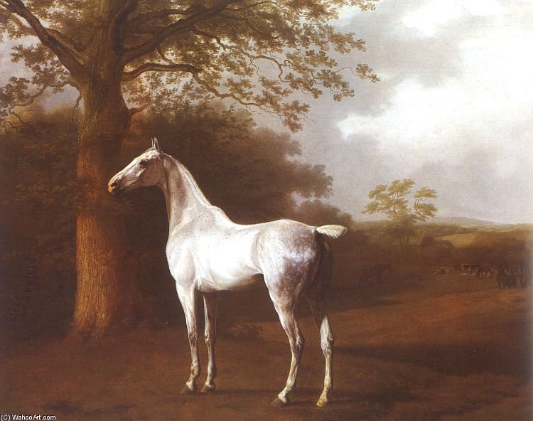 Wikioo.org - The Encyclopedia of Fine Arts - Painting, Artwork by Jacques Laurent Agasse - White Horse In Pasture