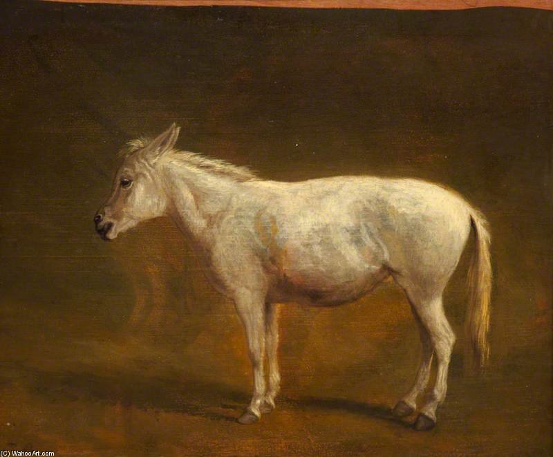 WikiOO.org - Encyclopedia of Fine Arts - Lukisan, Artwork Jacques Laurent Agasse - White Mule