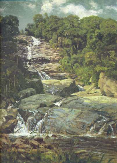 Wikioo.org - Bách khoa toàn thư về mỹ thuật - Vẽ tranh, Tác phẩm nghệ thuật Nicolas Antoine Taunay - Small Cascade In Tijuca