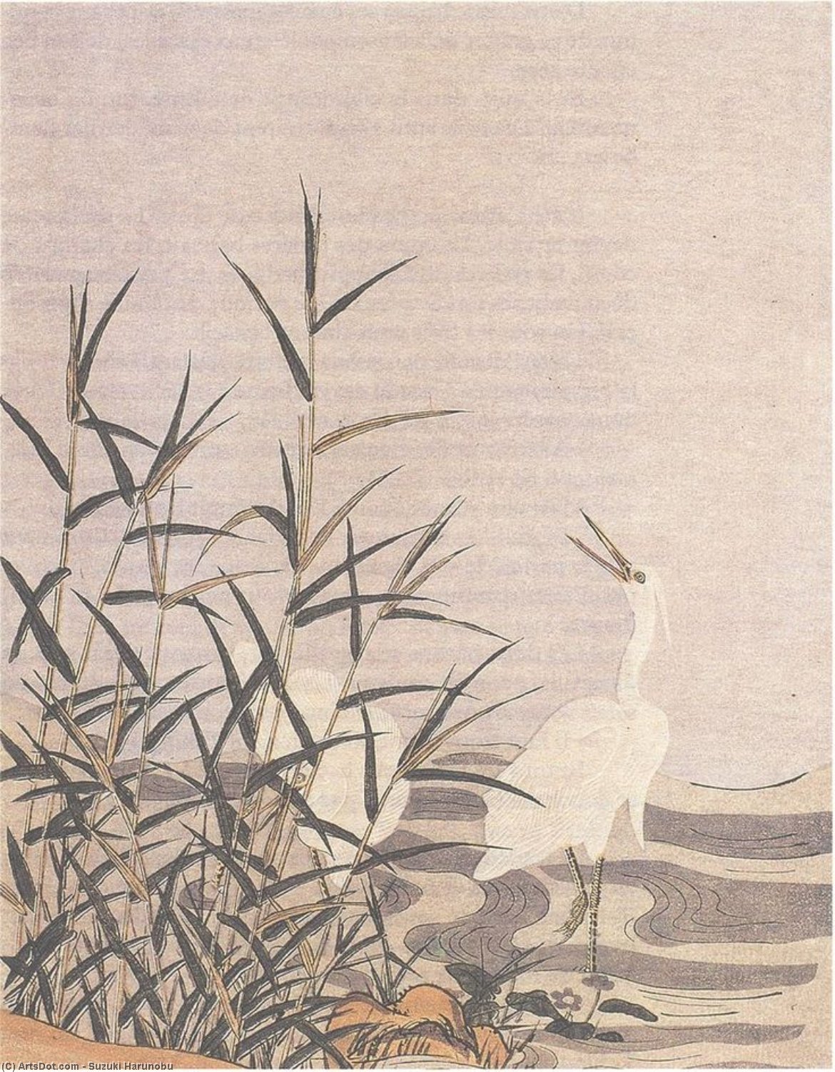 Wikioo.org - The Encyclopedia of Fine Arts - Painting, Artwork by Suzuki Harunobu - Herons Et Roseaux Suzuki