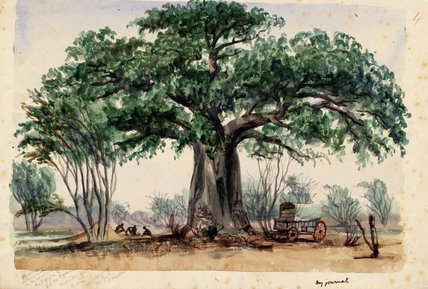 Wikioo.org - The Encyclopedia of Fine Arts - Painting, Artwork by Thomas Baines - Covered Wagon And Men Under A Large Baobab