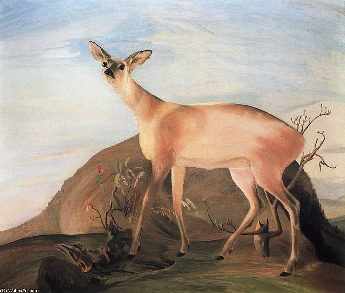 WikiOO.org - Enciclopédia das Belas Artes - Pintura, Arte por Tivadar Kosztka Csontváry - Deer