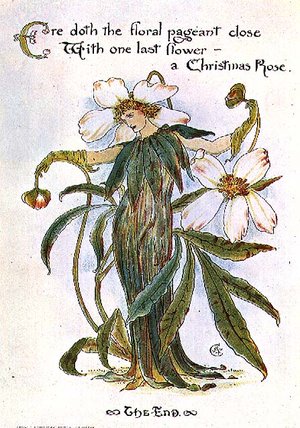 Wikioo.org - The Encyclopedia of Fine Arts - Painting, Artwork by Walter Crane - Illustration Showing A Fairy As A Christmas Rose