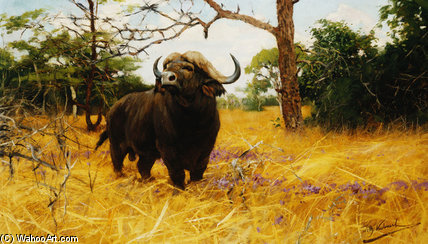 Wikioo.org - The Encyclopedia of Fine Arts - Painting, Artwork by Friedrich Wilhelm Kuhnert - A Kaffir Buffalo In Prairie Grass