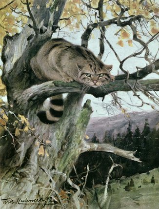 WikiOO.org - Encyclopedia of Fine Arts - Maľba, Artwork Friedrich Wilhelm Kuhnert - Wildcat In A Tree