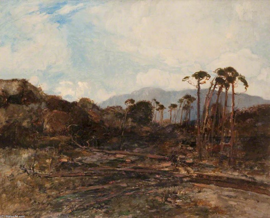 WikiOO.org - Encyclopedia of Fine Arts - Maalaus, taideteos William Alfred Gibson - On The Drynie Road, Ross-shire