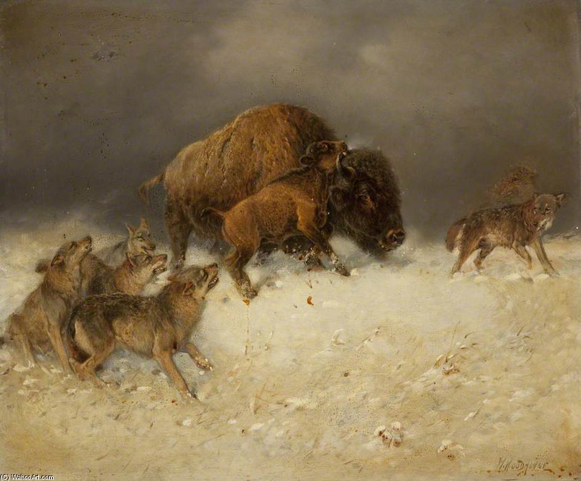 Wikioo.org - The Encyclopedia of Fine Arts - Painting, Artwork by William Arnold Woodhouse - Bison And Wolves