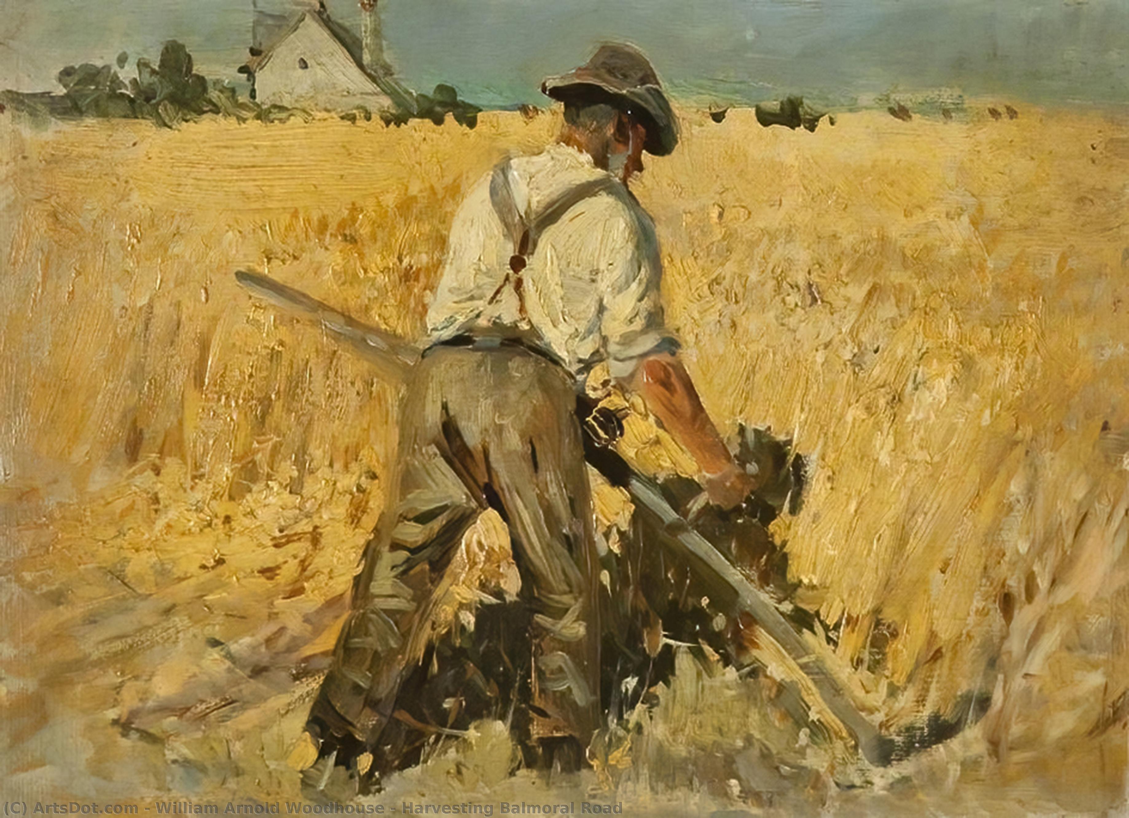 Wikioo.org - The Encyclopedia of Fine Arts - Painting, Artwork by William Arnold Woodhouse - Harvesting Balmoral Road