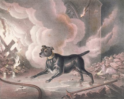 WikiOO.org - Encyclopedia of Fine Arts - Maleri, Artwork William Heath - The London Fireman's Dog