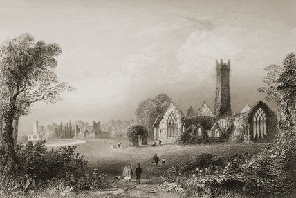 Wikioo.org - The Encyclopedia of Fine Arts - Painting, Artwork by William Henry Bartlett - Augustinian Abbey At Adare,