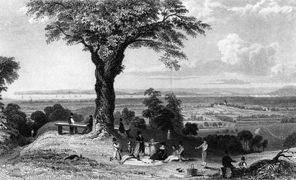 Wikioo.org - The Encyclopedia of Fine Arts - Painting, Artwork by William Henry Bartlett - Scene From Laindon Hill