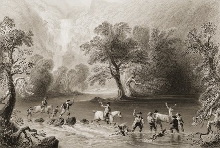 Wikioo.org - The Encyclopedia of Fine Arts - Painting, Artwork by William Henry Bartlett - Taking A Stag Near Derrycunnihy Cascade