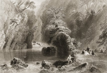 WikiOO.org - Encyclopedia of Fine Arts - Schilderen, Artwork William Henry Bartlett - The Dargle River,