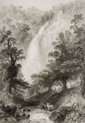 Wikoo.org - موسوعة الفنون الجميلة - اللوحة، العمل الفني William Henry Bartlett - The Waterfall