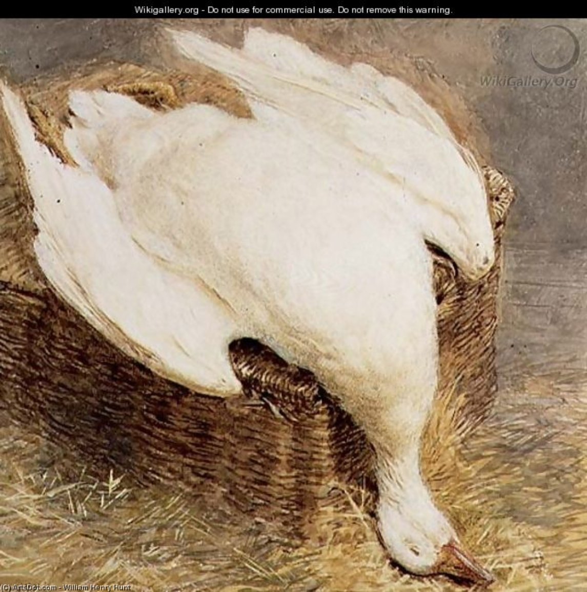Wikioo.org – La Enciclopedia de las Bellas Artes - Pintura, Obras de arte de William Henry Hunt - sigue la vida de Un ganso muertos con un Cesto ,