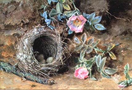 Wikioo.org – La Enciclopedia de las Bellas Artes - Pintura, Obras de arte de William Henry Hunt - rosas salvajes Asícomo Birds' Nidos