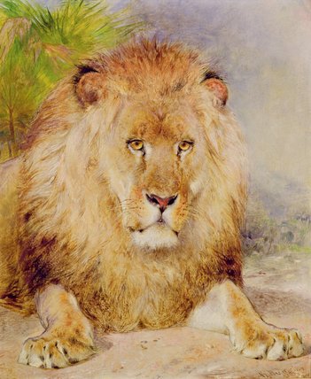 WikiOO.org – 美術百科全書 - 繪畫，作品 William Huggins - 狮子
